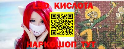 прущие грибы Апшеронск