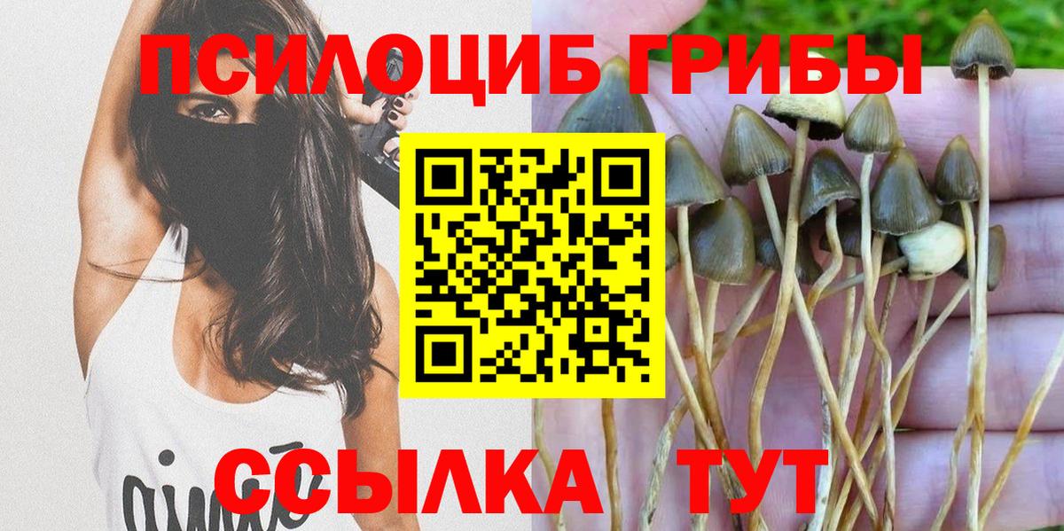 как найти закладки  Вход с VPN  Богородск  Псилоцибиновые грибы Magic Shrooms 