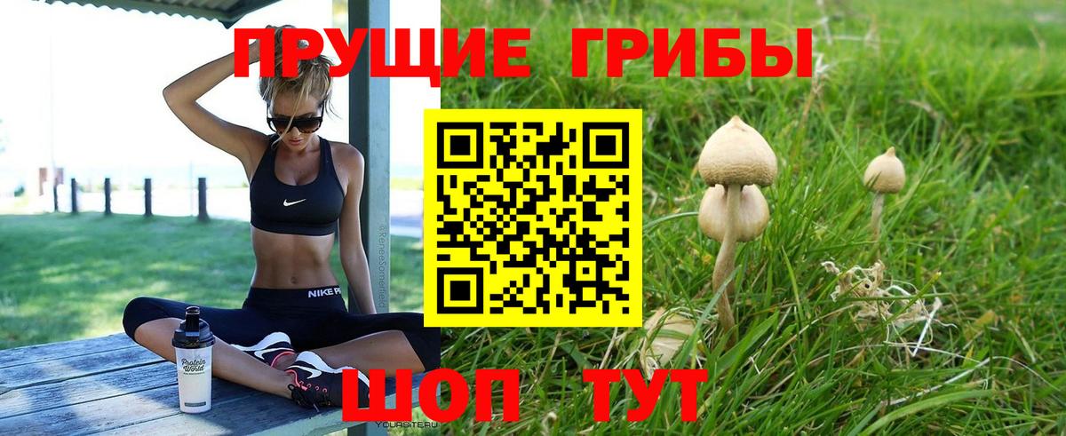 Галлюциногенные грибы Cubensis Богородск